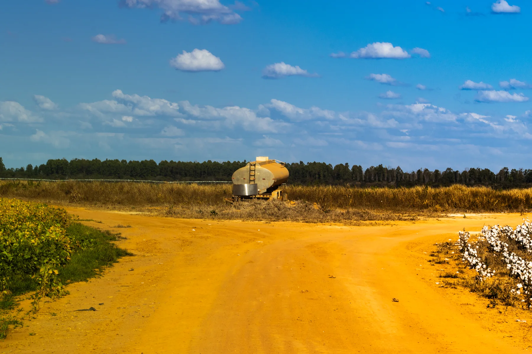 Paisagem de lavoura